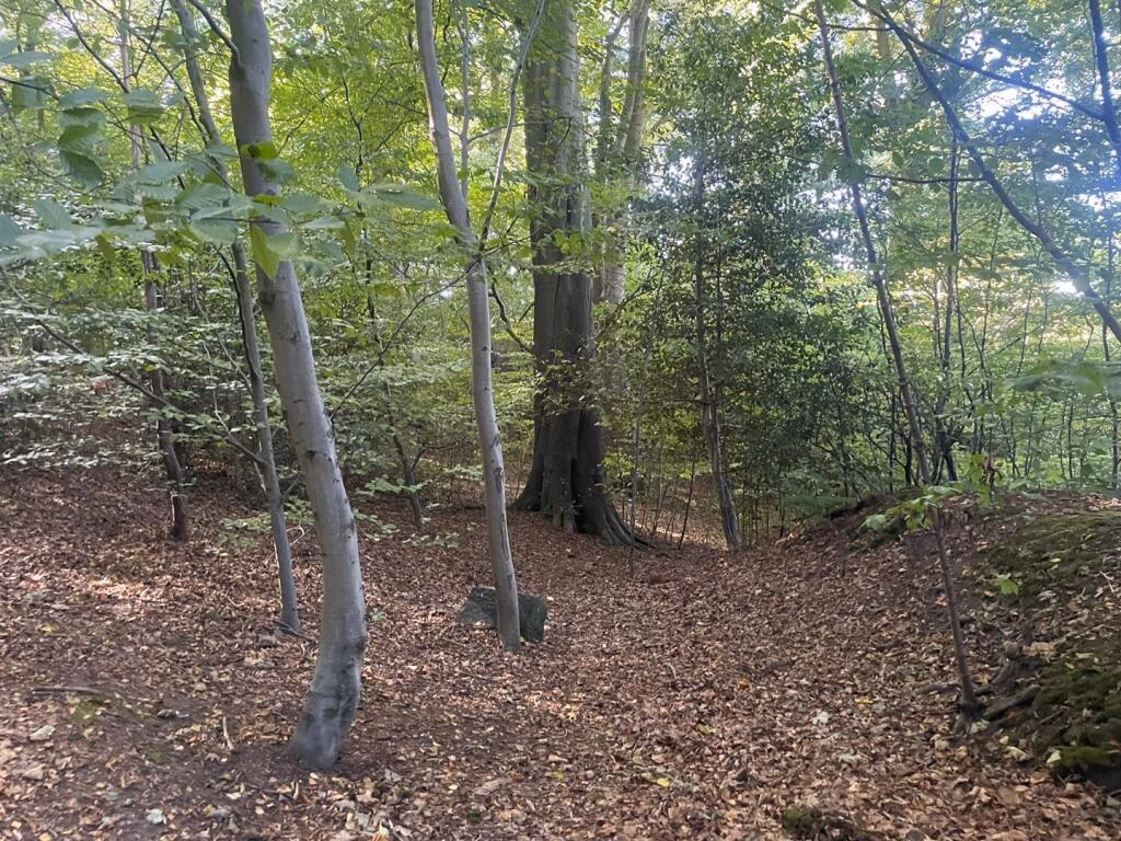 Land for sale - Image 5