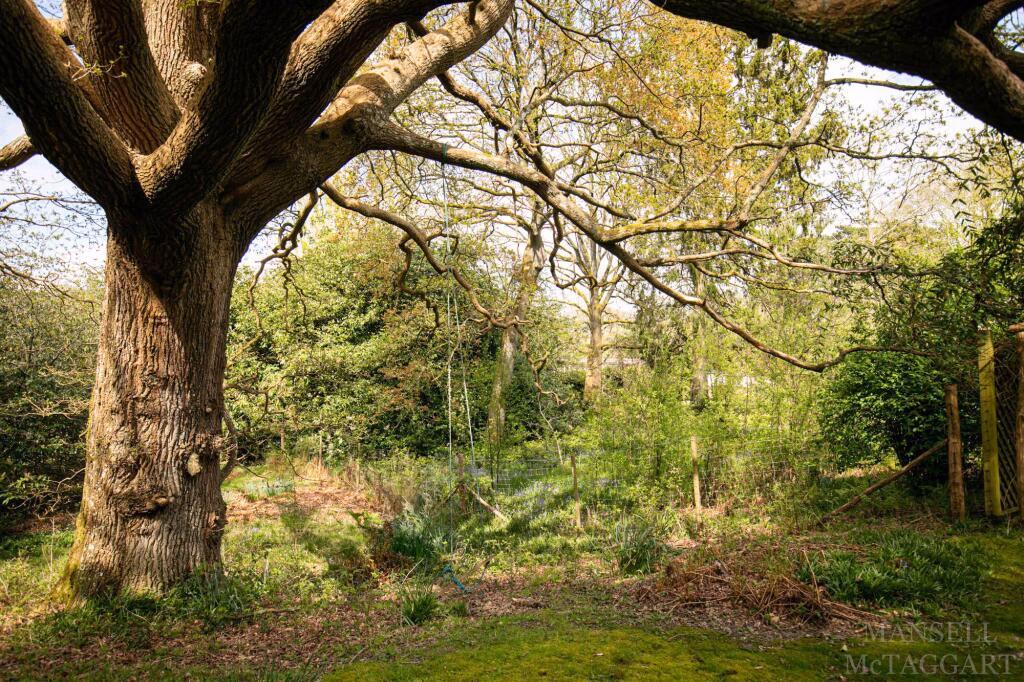 Land for sale - Image 4