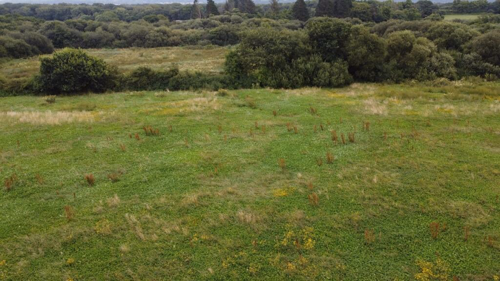 Farm land for sale - Image 4