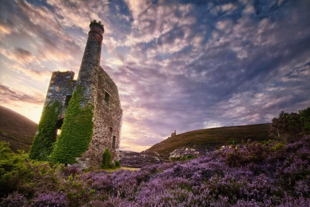 Land for sale - Image 1