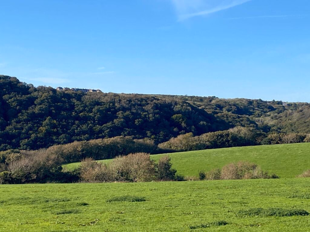 Land for sale - Image 1