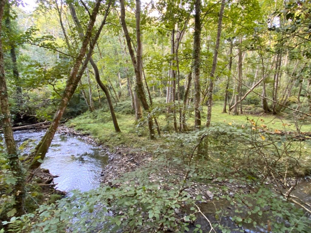 Land for sale - Image 3
