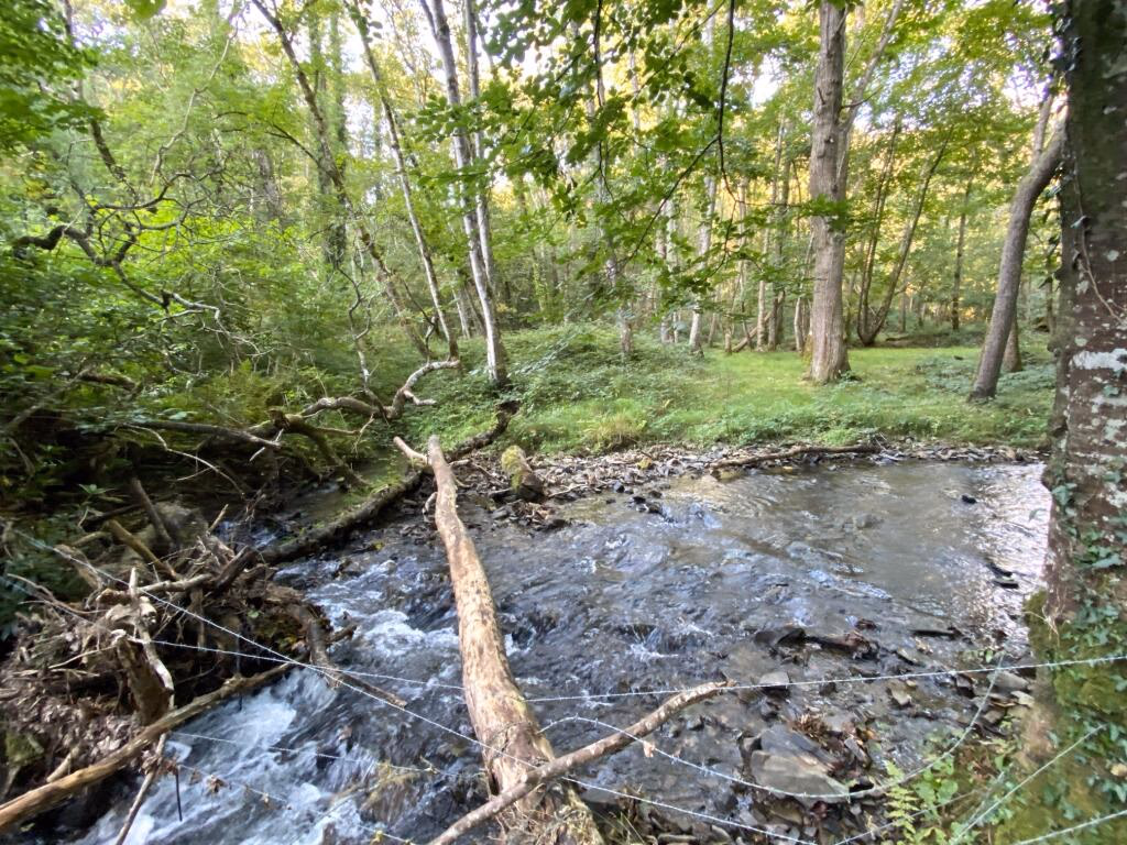 Land for sale - Image 4