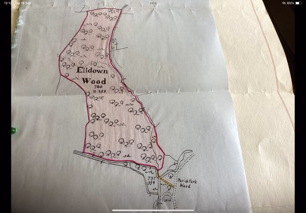 Land for sale - Image 5