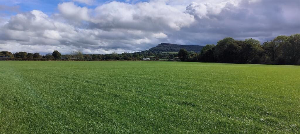 Land for sale - Image 3