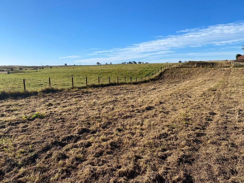 Land for sale - Image 4