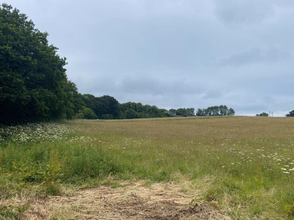 Land for sale - Image 4