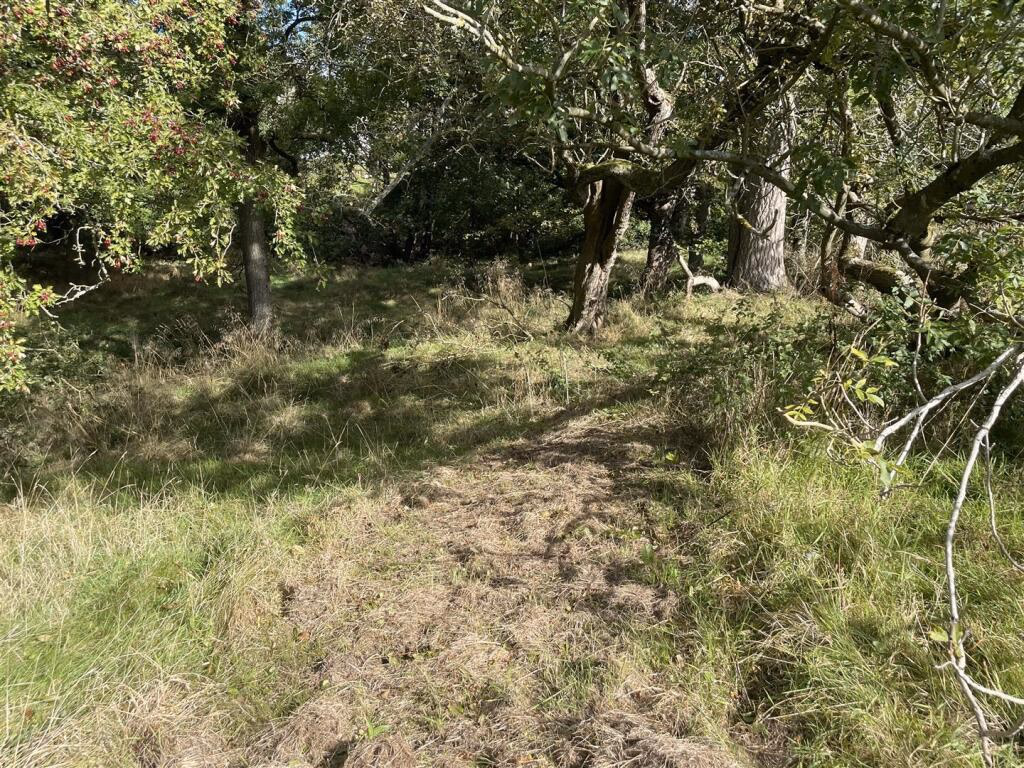 Land for sale - Image 4