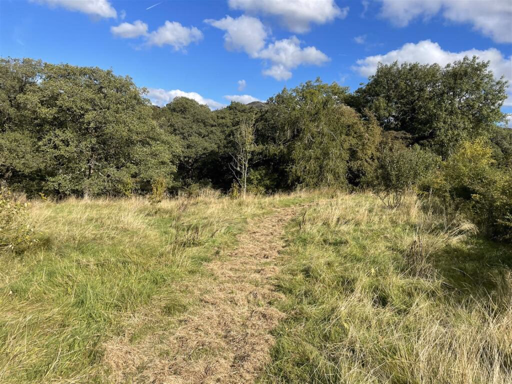 Land for sale - Image 5