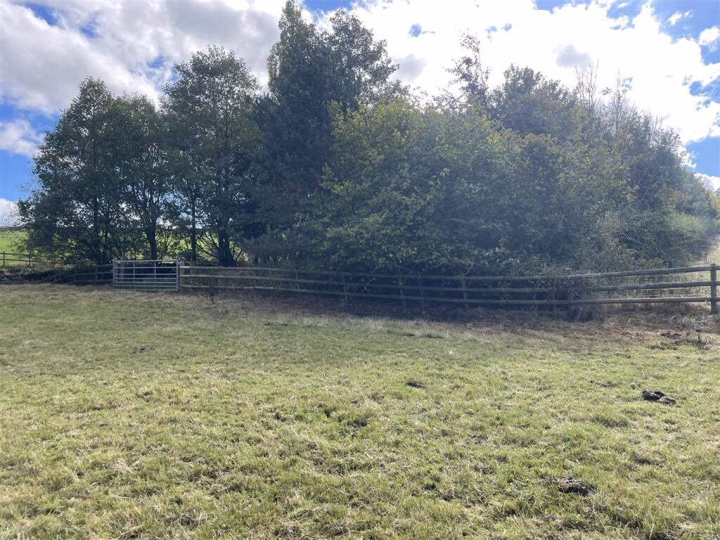 Land for sale - Image 5