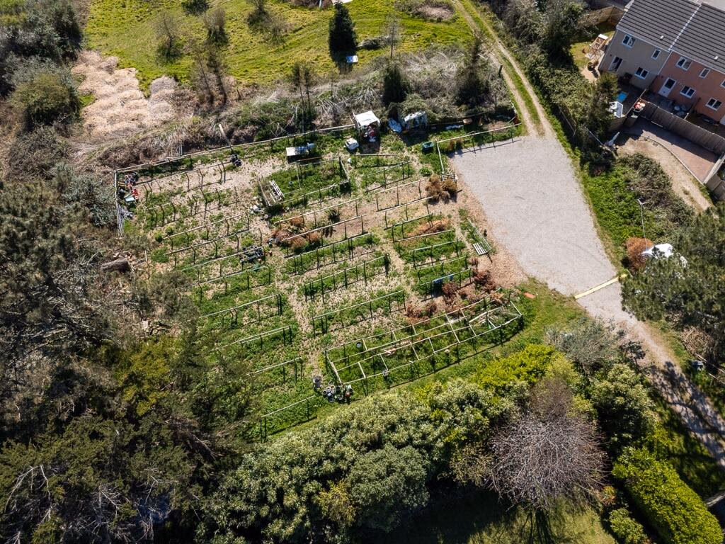 Plot for sale - Image 2