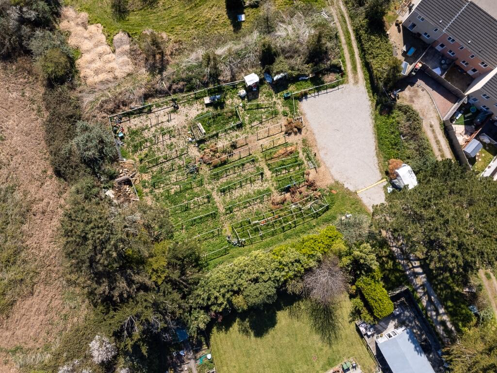 Plot for sale - Image 3