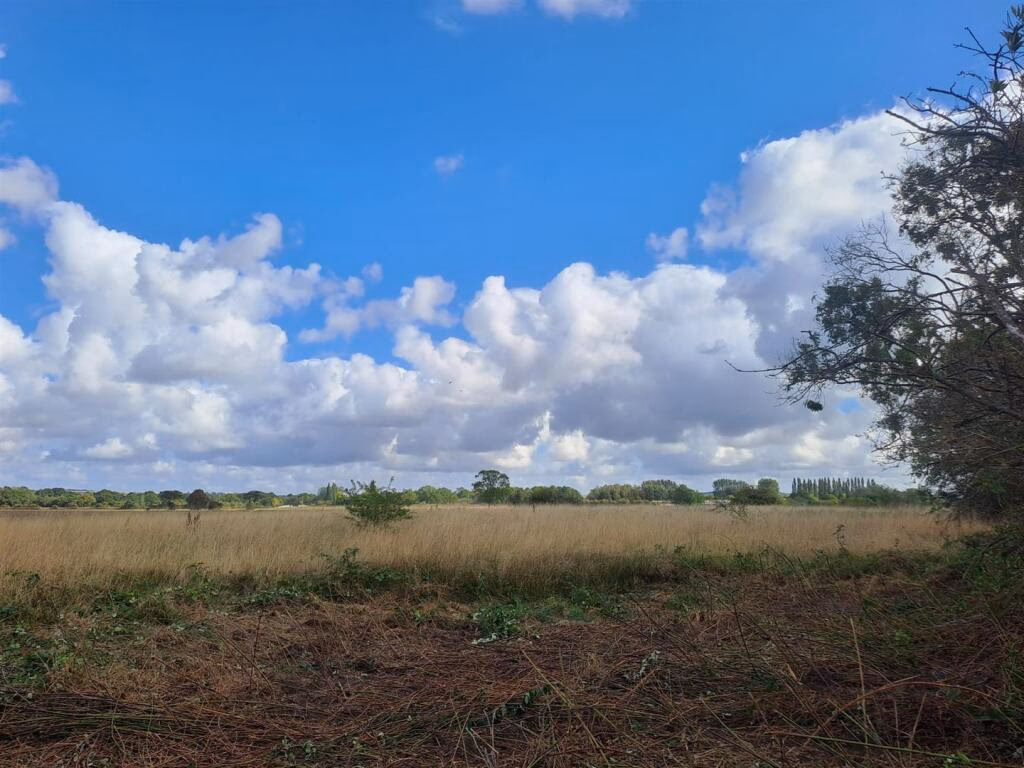 Land for sale - Image 2