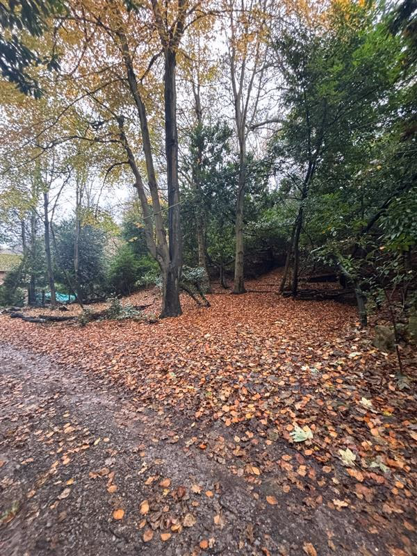 Land for sale - Image 1