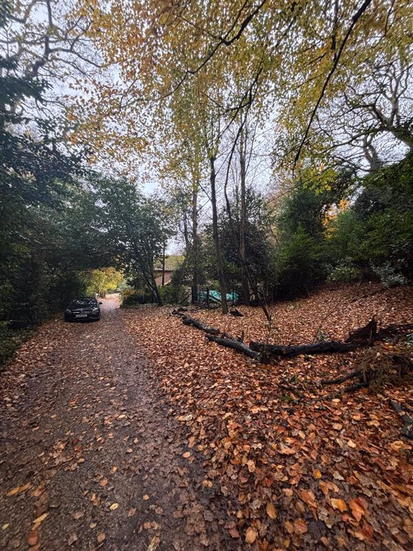 Land for sale - Image 3