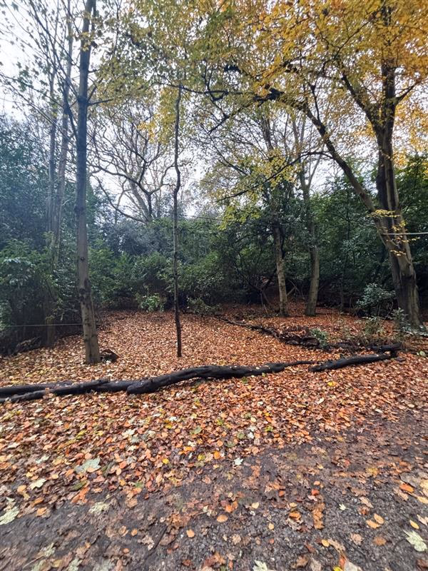 Land for sale - Image 4