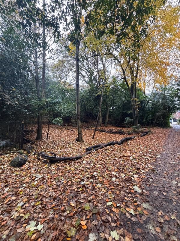 Land for sale - Image 5