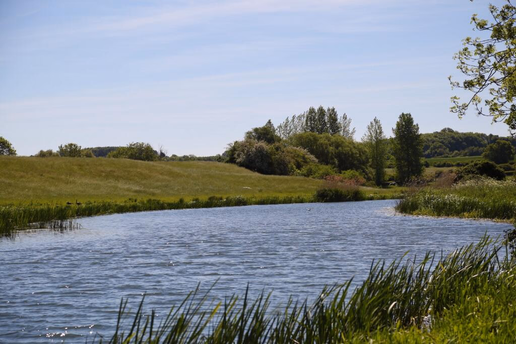 Land for sale - Image 4