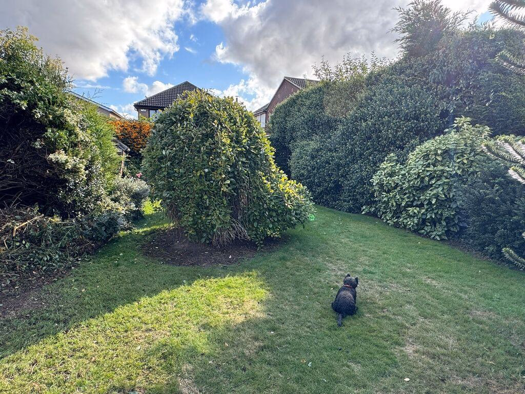 Land for sale - Image 4