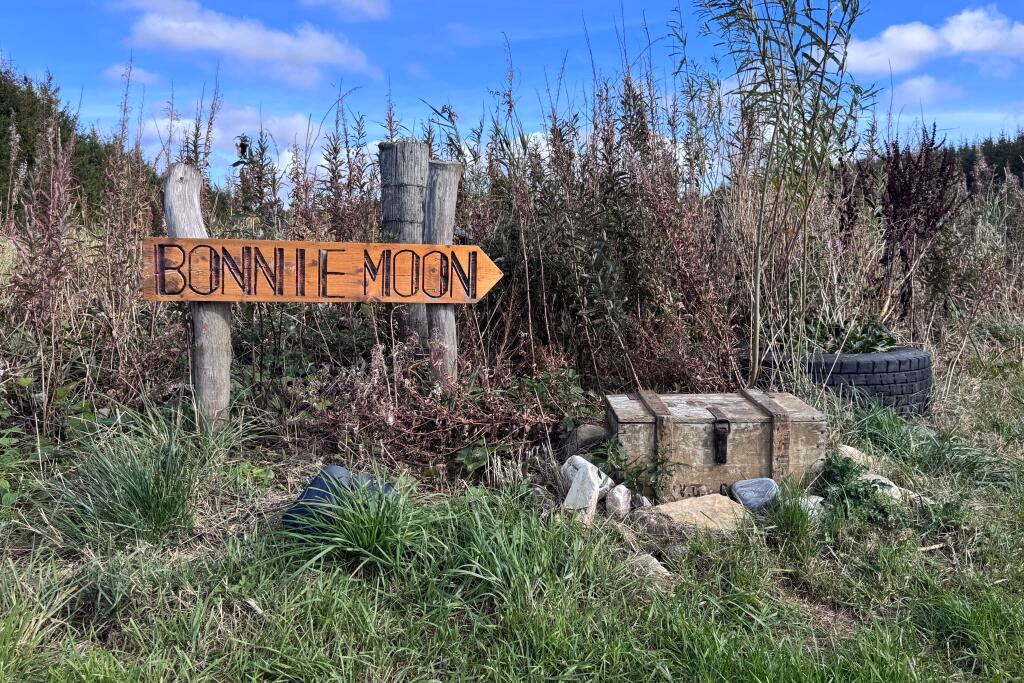 Land for sale - Image 2