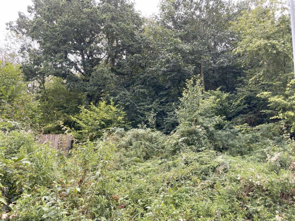 Land for sale - Image 1