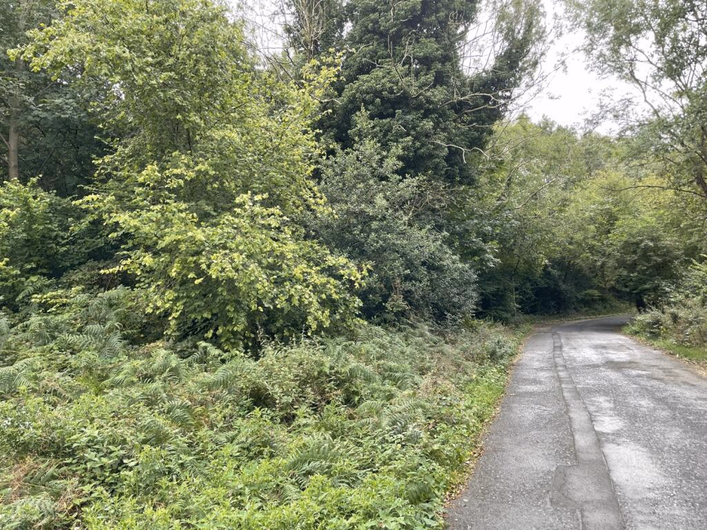 Land for sale - Image 2