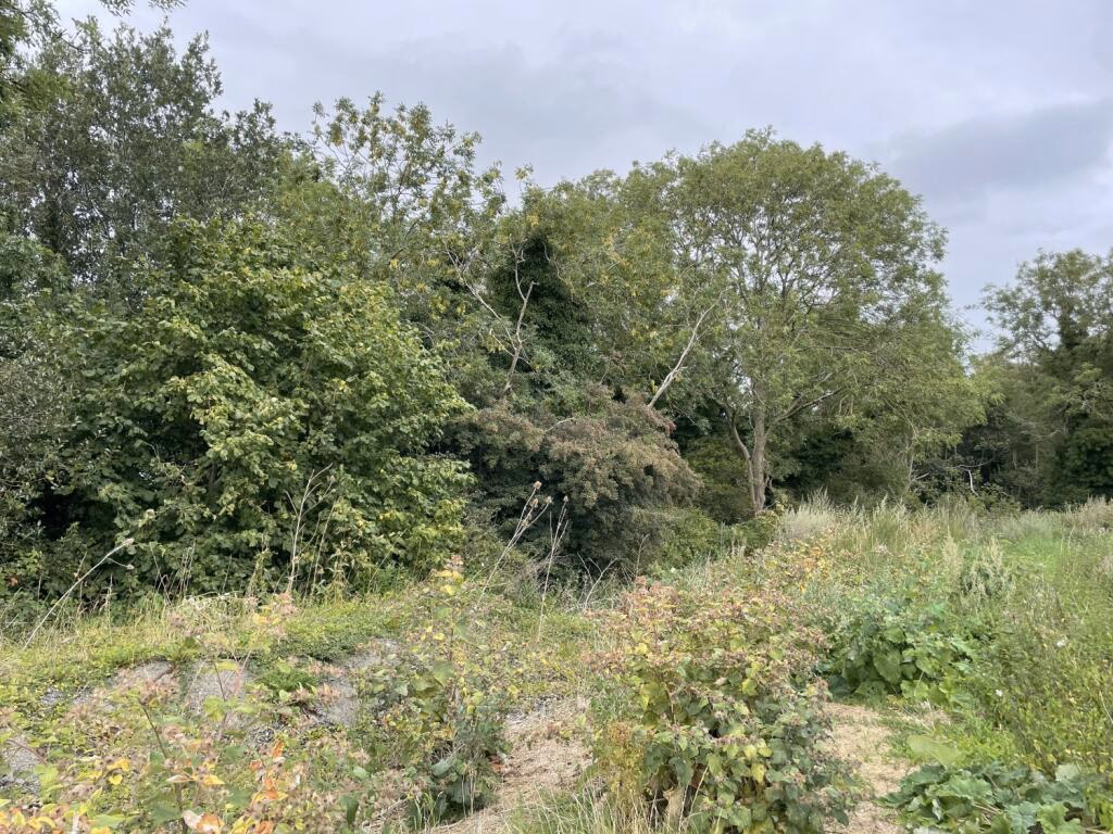 Land for sale - Image 5