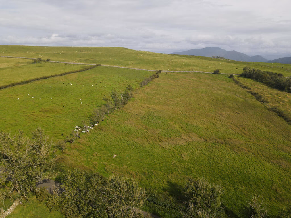 Land for sale - Image 2