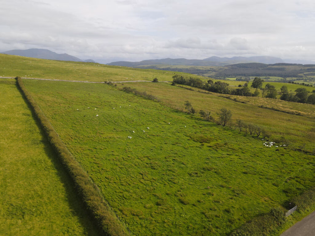 Land for sale - Image 3