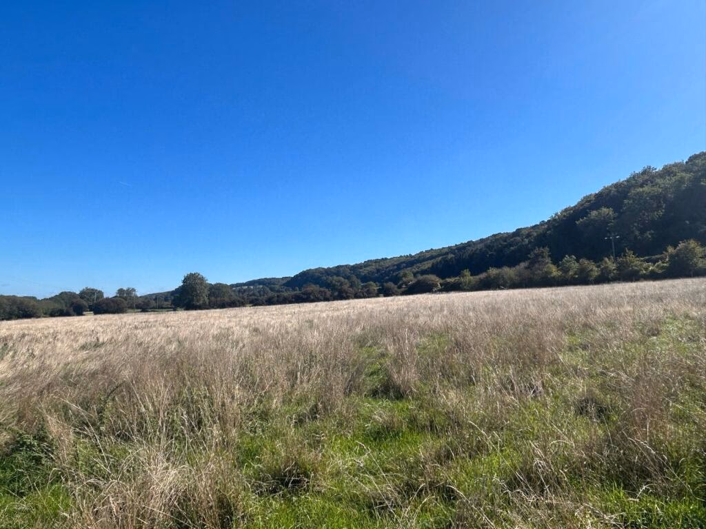 Land for sale - Image 3