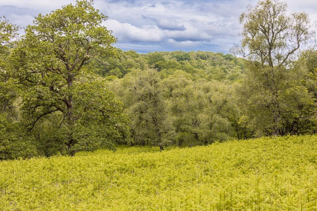 Land for sale - Image 3