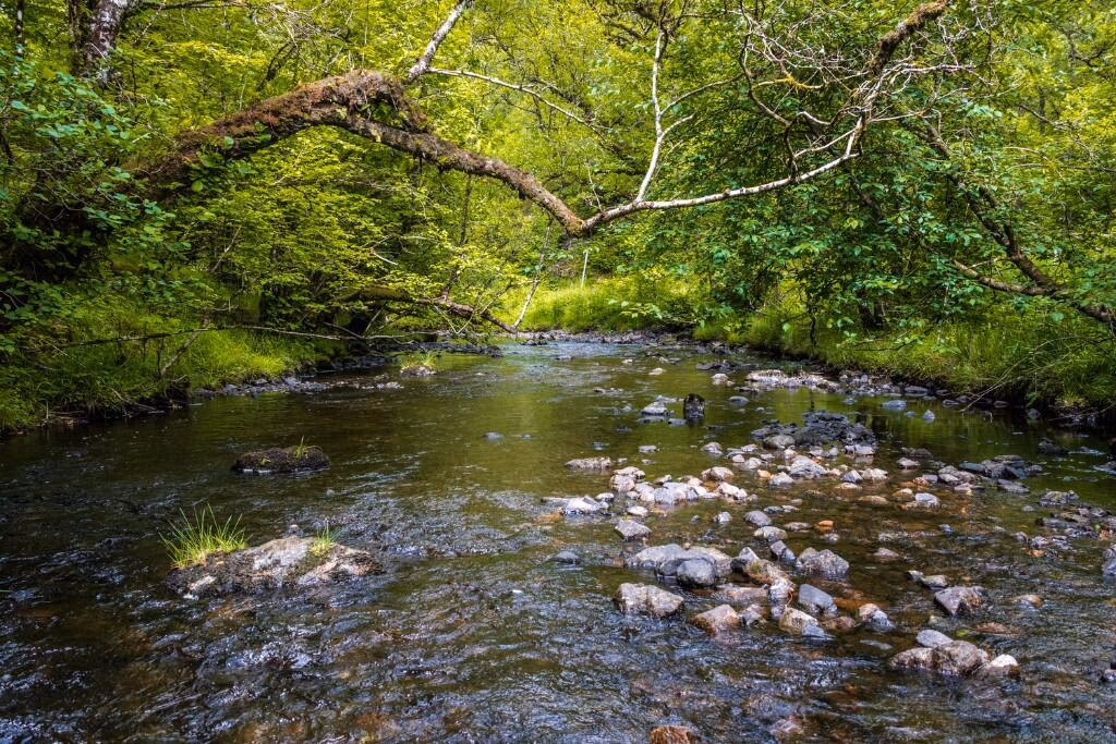 Land for sale - Image 5