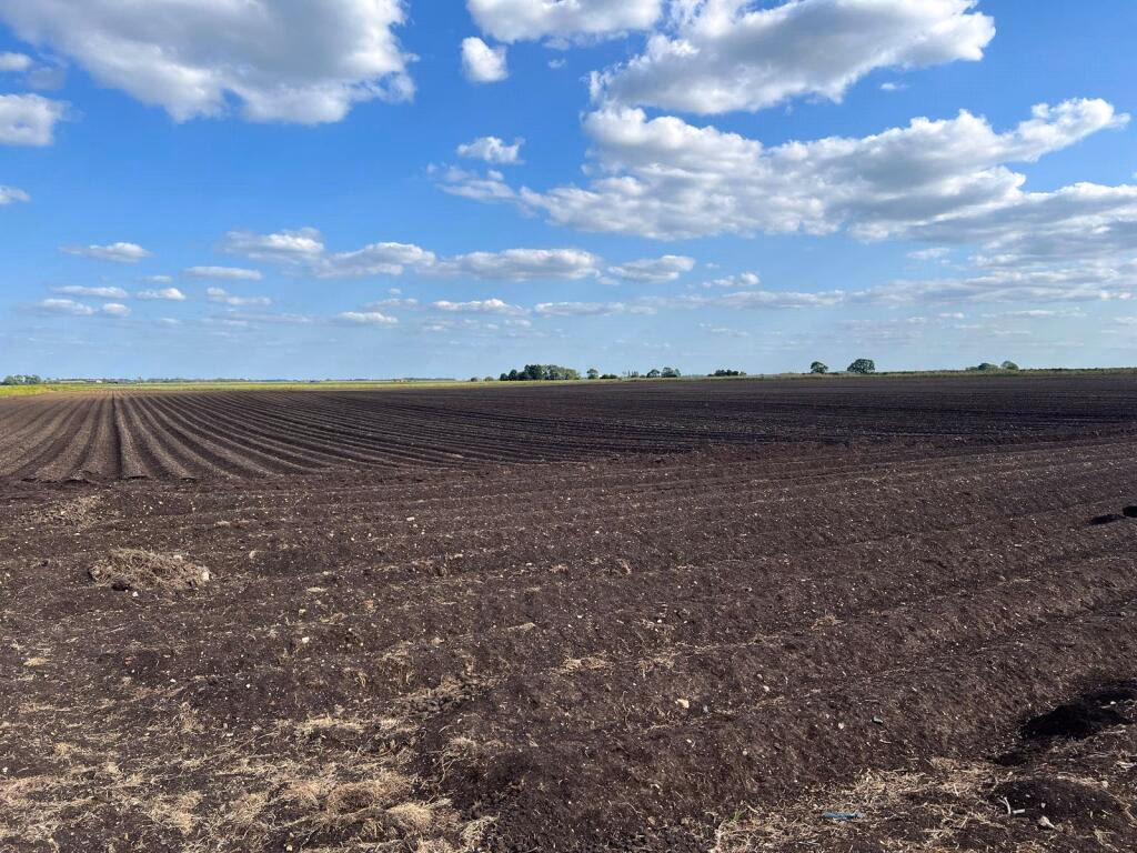 Farm land for sale - Image 1