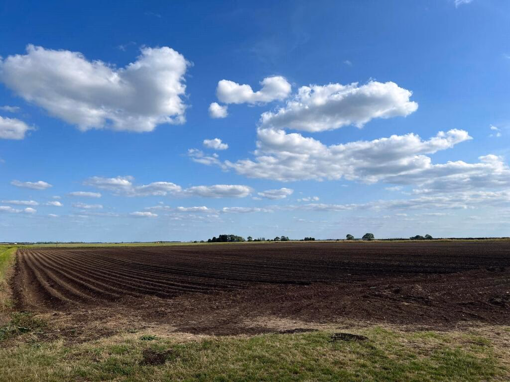 Farm land for sale - Image 2