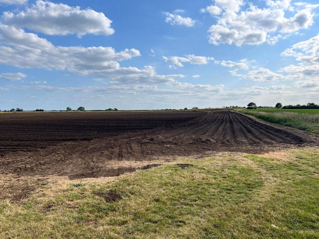 Farm land for sale - Image 5