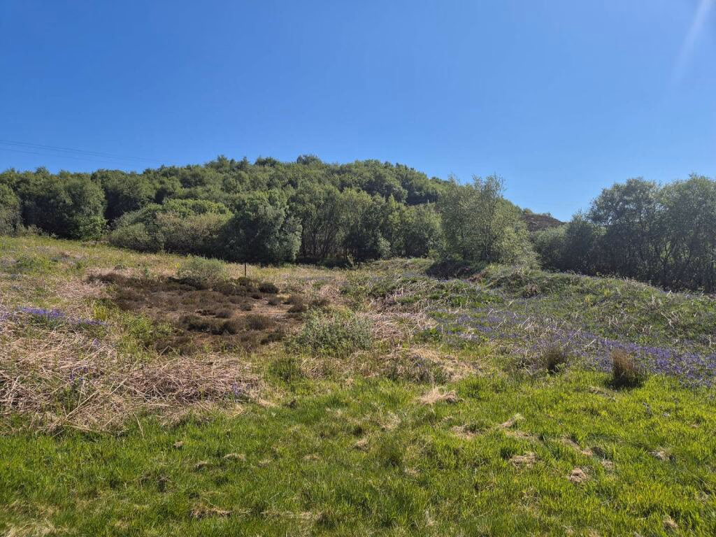 Plot for sale - Image 5