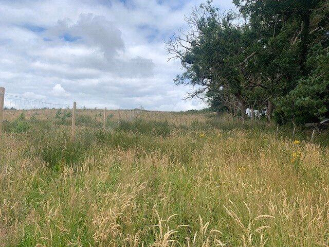 Land for sale - Image 1