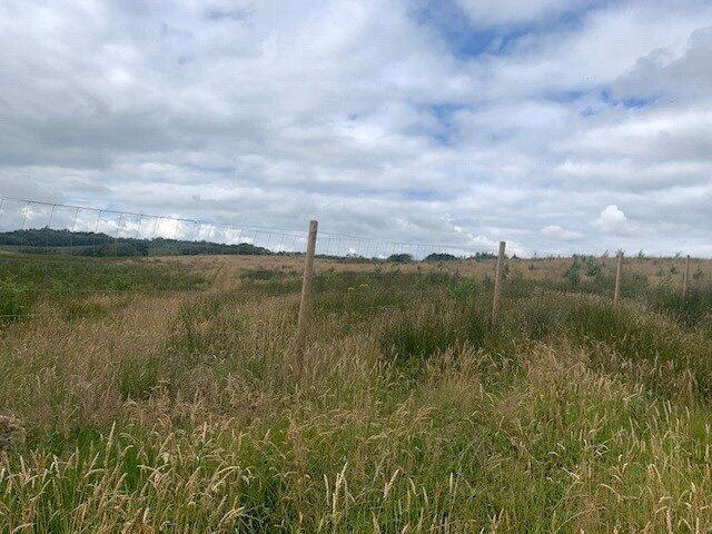 Land for sale - Image 2