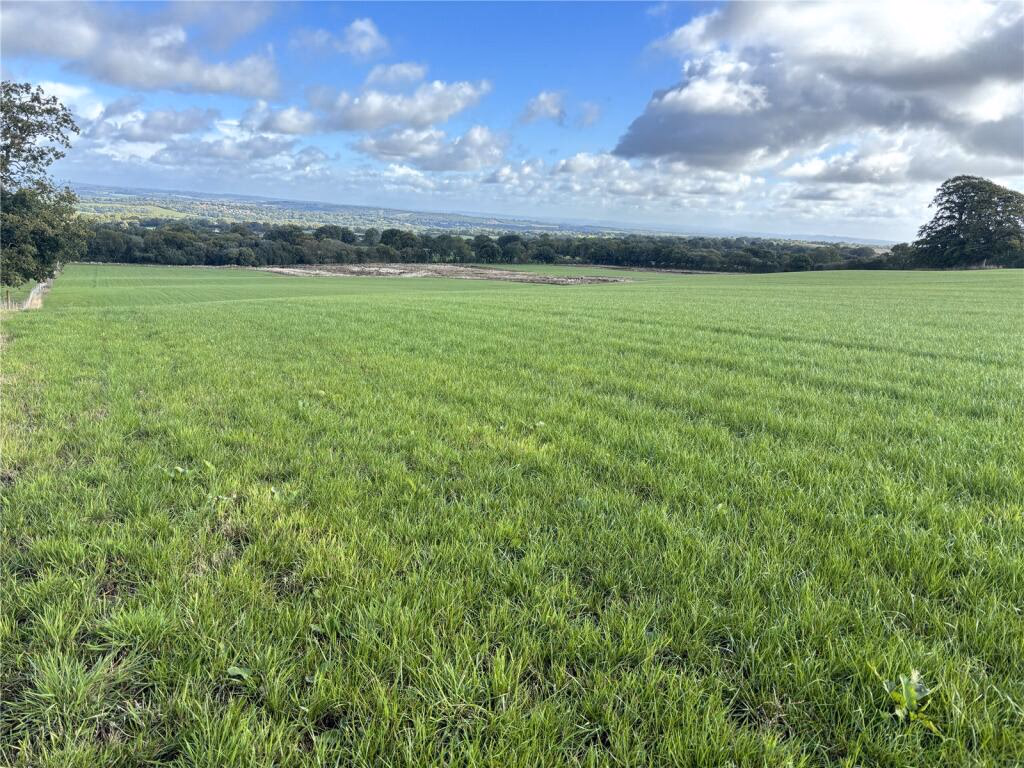 Land for sale - Image 3