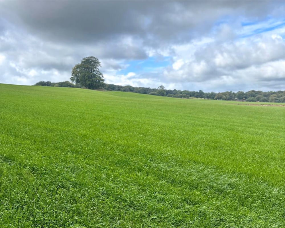 Land for sale - Image 4