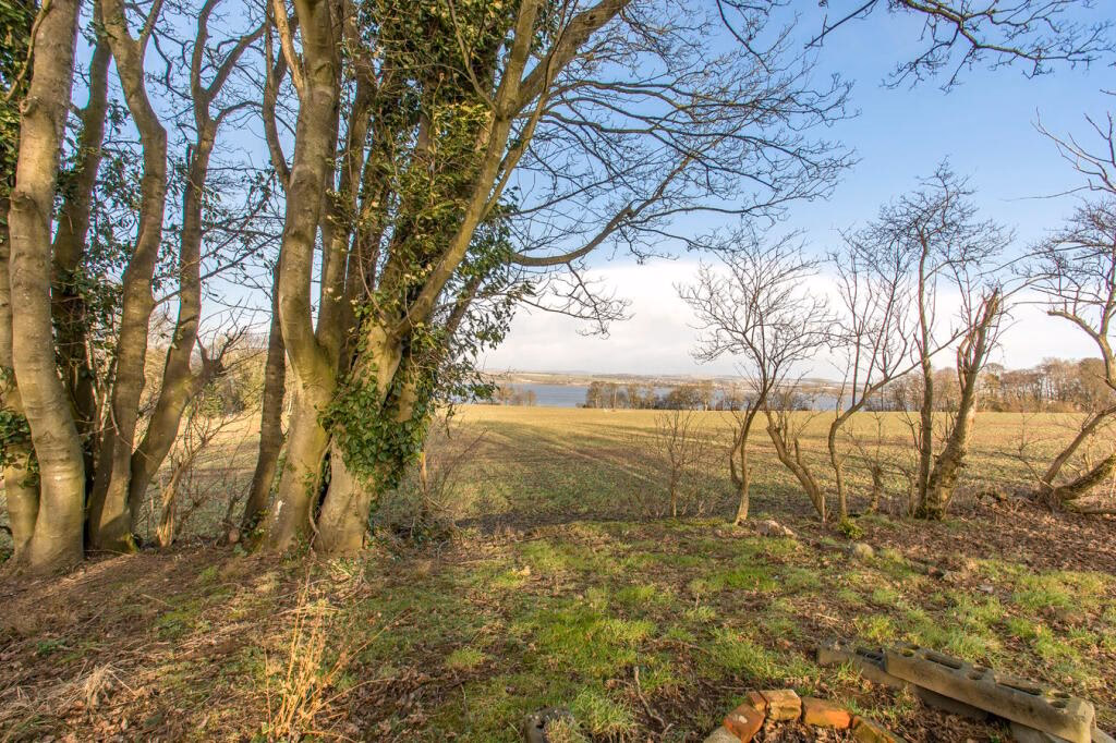 Plot for sale - Image 4