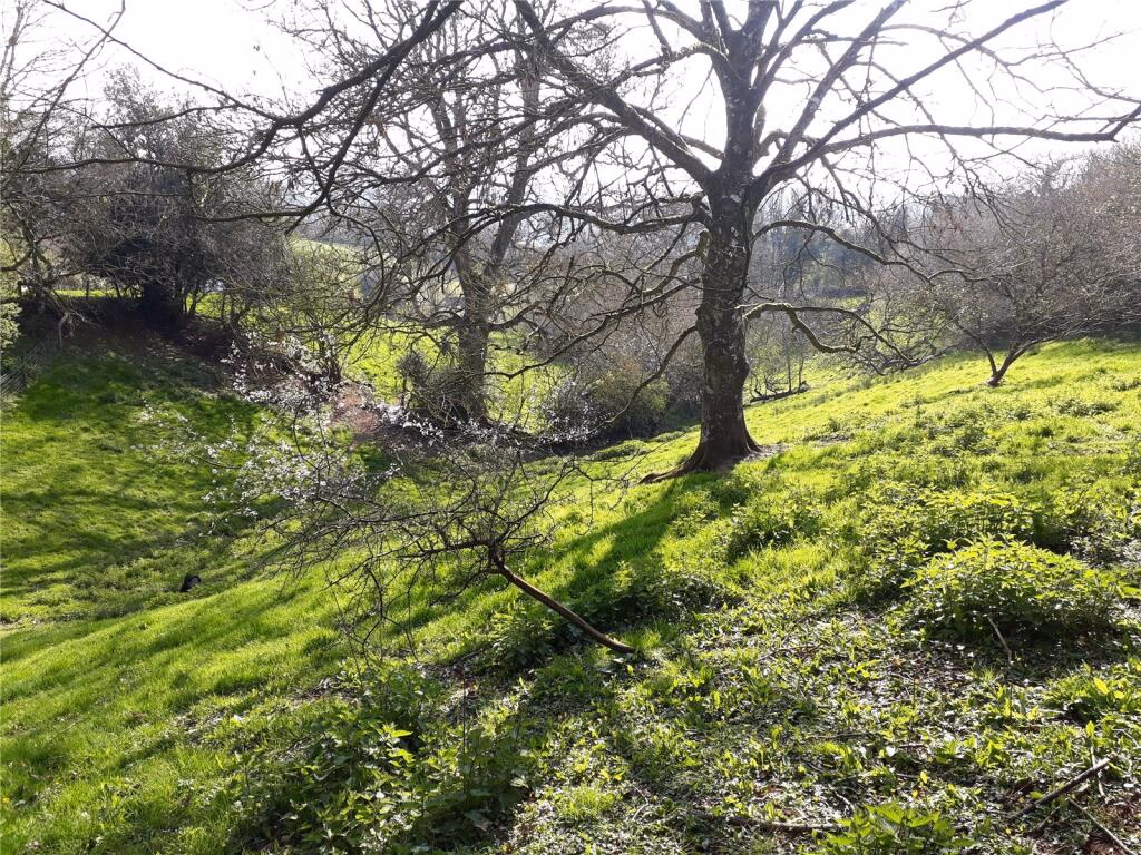 Land for sale - Image 3