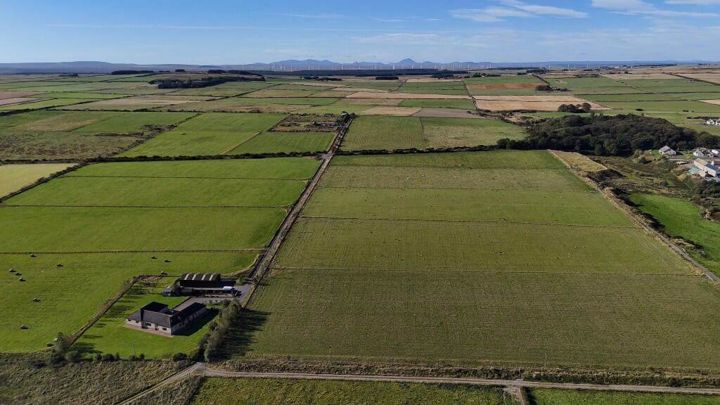 Farm land for sale - Image 2