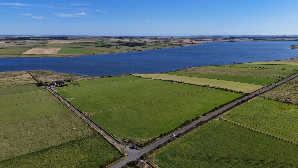 Farm land for sale - Image 3