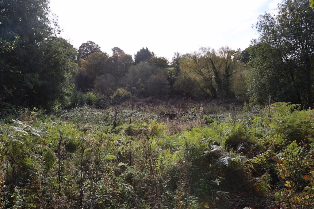 Plot for sale - Image 4