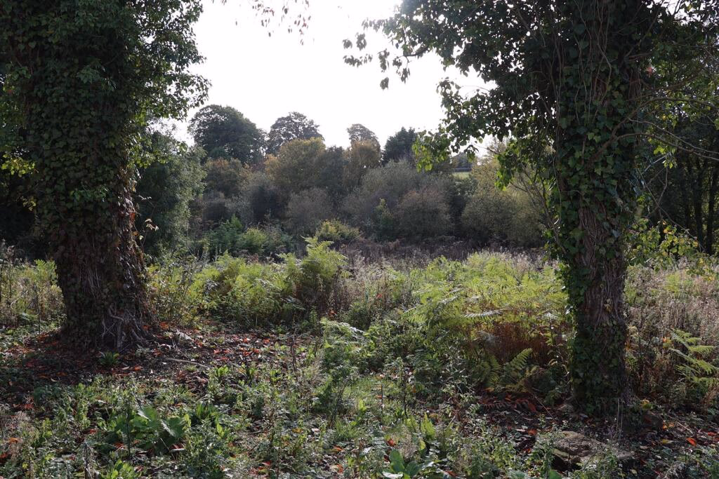 Plot for sale - Image 5