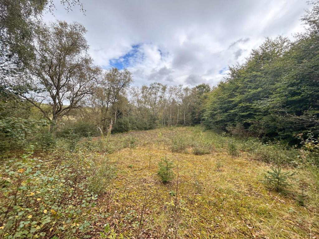 Plot for sale - Image 1