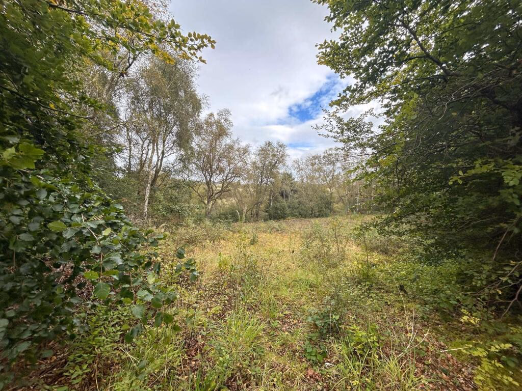 Plot for sale - Image 2