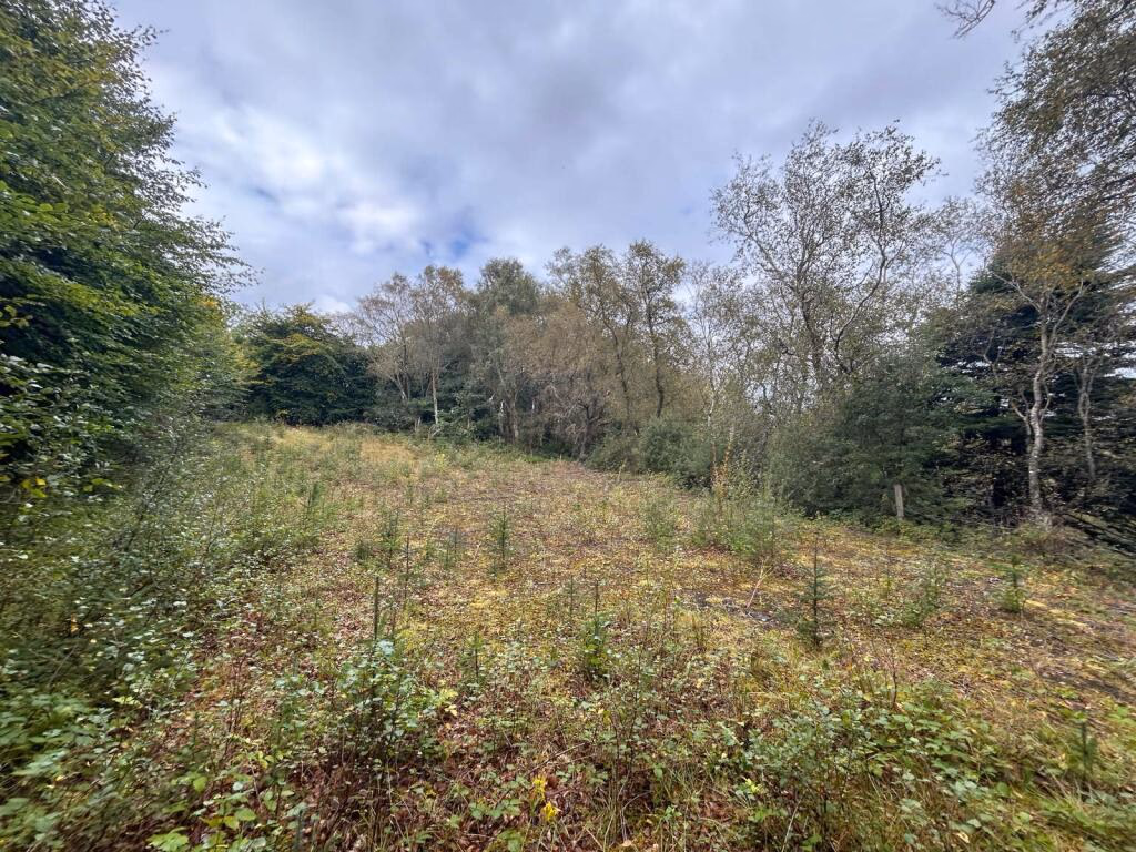 Plot for sale - Image 3