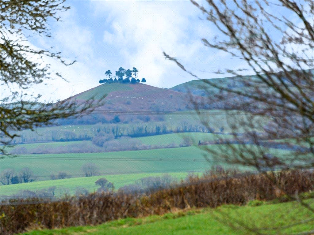 Plot for sale - Image 5